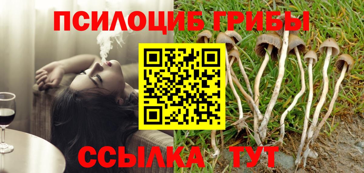 Псилоцибиновые грибы мухоморы Вязьма